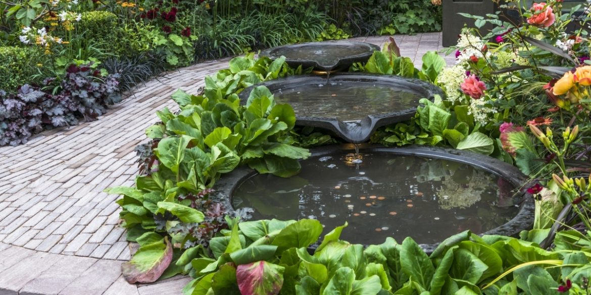 Décorez votre fontaine de jardin avec des plantes aquatiques