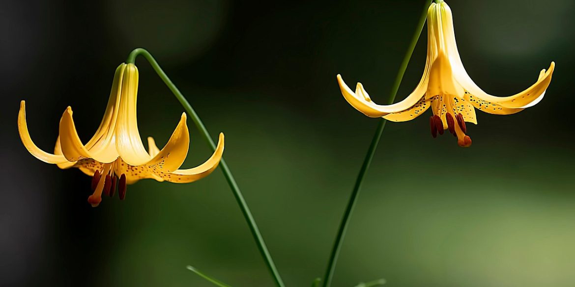 découvrez notre sélection de plantes suspendues pour apporter une touche de verdure élégante et naturelle à votre intérieur ou extérieur.